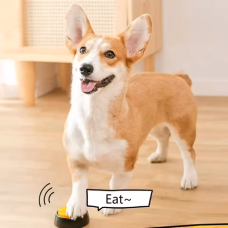 Dog Communication Buttons Voice Recording Button for Pet