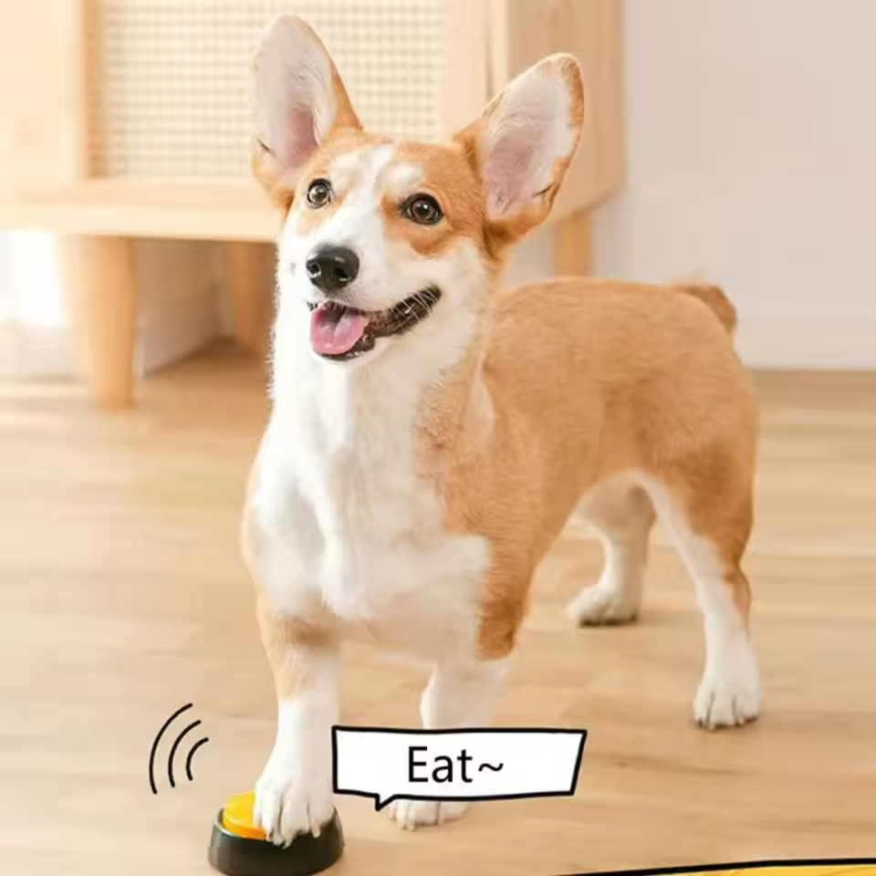 Dog Communication Buttons Voice Recording Button for Pet