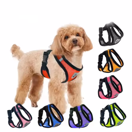 New style dog walking and cat chest strap outdoor